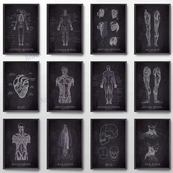 Lihaste Jala Luu Südame Anatoomia Skelett Seina Art Lõuend Maali Nordic Plakatid Ja Pildid Seina Pilte Arsti Kontori Decor