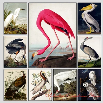 Vintage Lind Lõuend Print Audubon Bird Plakatid Roosa Flamingo Snowy Owl Pelican Blue Heron Maali Ameerika Lind Art Home Decor